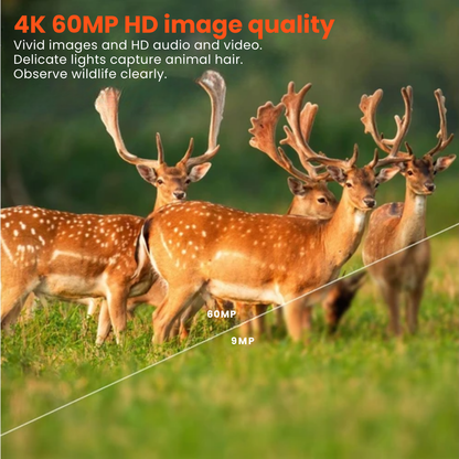 4K Ultra HD Wildlife Camera – 60MP met App-bediening